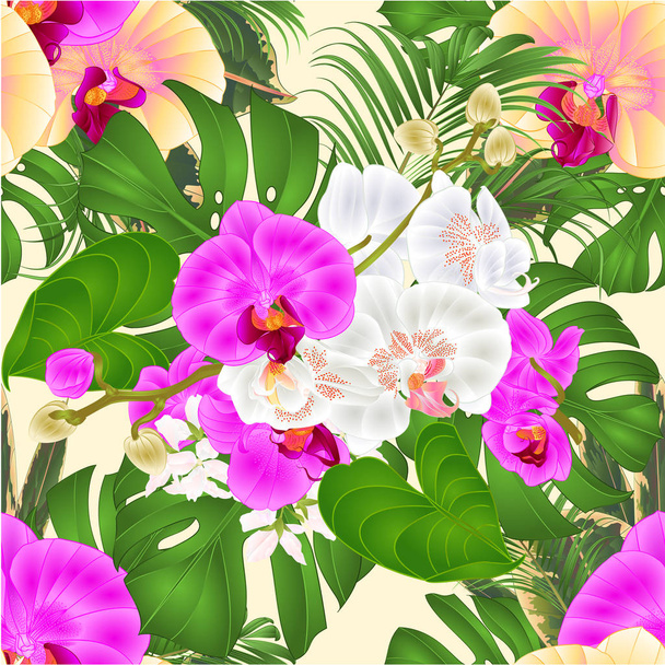 Seamless texture Bouquet with tropical flowers  floral arrangement, with beautiful purple yellow and white orchids  Phalaenopsis  palm and philodendron  vintage vector illustration  editable hand draw  - Vector, Image