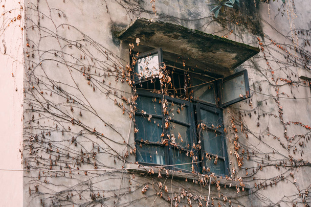 View of exterior of an old abandoned unfinished brick wall house with overgrown gapes of brown and vines - Foto, imagen