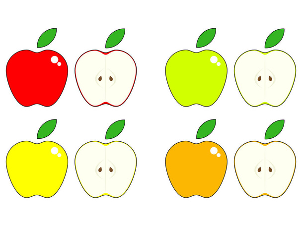 Vector set of apples, red, green, yellow and orange it's halves isolated on the white background - Vector, Image