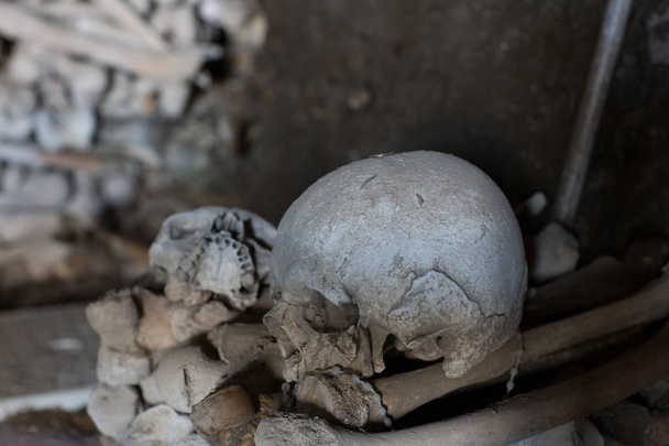 Skull and bones in ancient ossuary, Naples - Foto, Imagen
