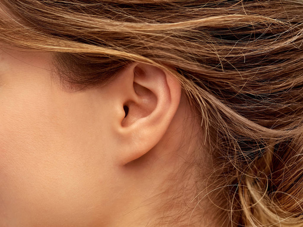 Close up van een jonge vrouw gezicht van oor kant - Foto, afbeelding