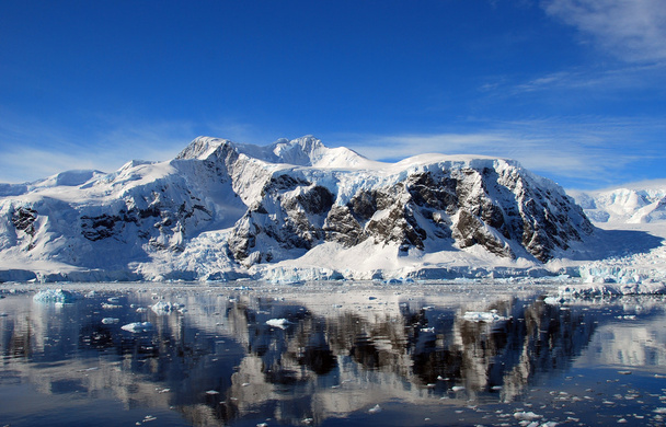 reflections in antarctica - Photo, Image
