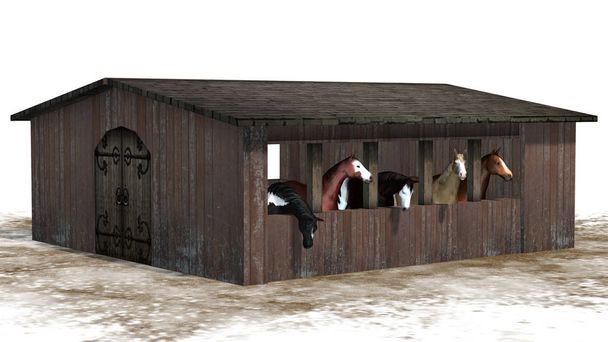 Pferde im Stall auf einer Sandfläche - isoliert auf weißem Hintergrund - Foto, Bild