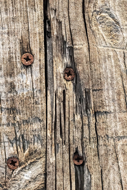 Old Weathered Rotten Cracked Knotted Rough Pinewood Floorboard Grunge Surface With Rusty Phillips Screws Embedded Detail - Фото, зображення