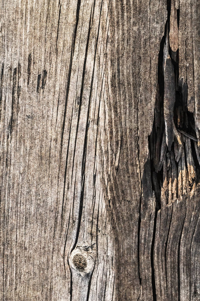 Viejo envejecido podrido agrietado anudado áspero madera de pino piso grunge superficie textura detalle
 - Foto, imagen