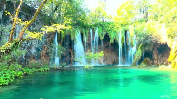 waterfall in forest Plitvice Lakes National Park, Croatia - Footage, Video