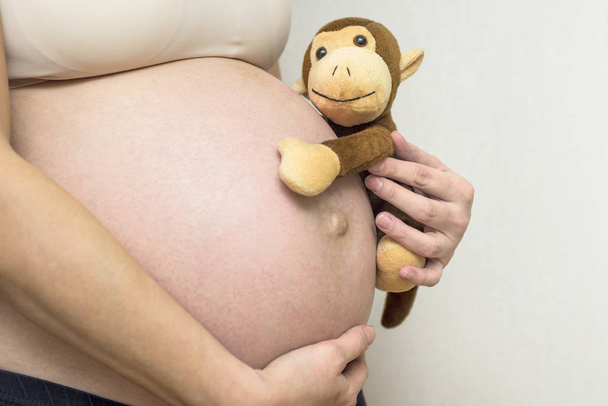 Κοντινό πλάνο του μια νεαρή έγκυο γυναίκα, κρατώντας την κοιλιά της με ένα παιχνίδι μαϊμού. Έγκυος γυναίκα κρατώντας μαϊμού παιχνίδι - Φωτογραφία, εικόνα