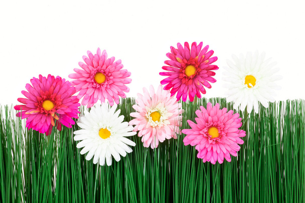 Flowers with grass - Valokuva, kuva