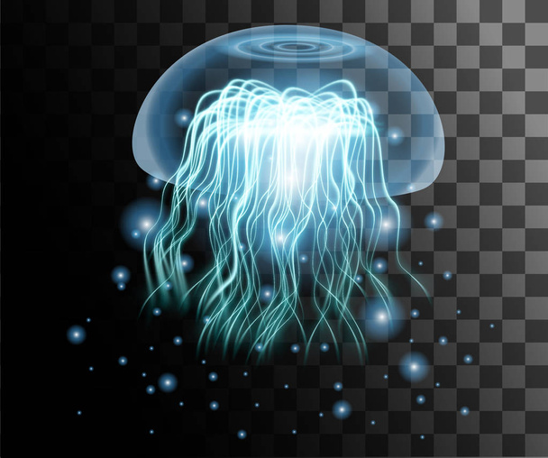 Przezroczyste niebieskie Jellyfish na przezroczystym tle. Efekt stylu jellyfishes. Efekt stylu jellyfishes. Streszczenie efekt świecące ilustracji. - Wektor, obraz