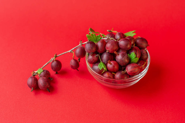 Fresh gooseberry in a glass container on a red background. Berry dessert, juice, jam, cooking canned food. - Фото, изображение