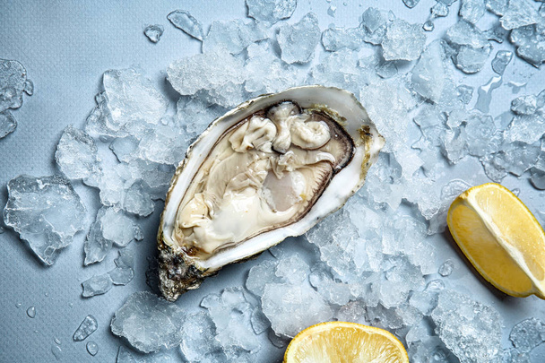 Fresh raw oyster with ice and lemon on grey background - Фото, зображення