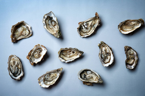 Fresh raw oysters on grey background - Foto, afbeelding