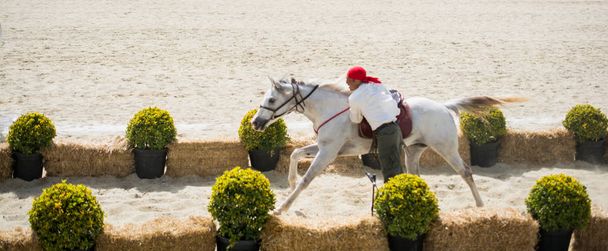 Верховая езда на лошадях - Фото, изображение