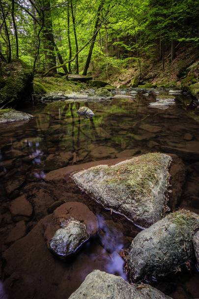 cours d'eau cascade en forêt noire Allemagne
 - Photo, image