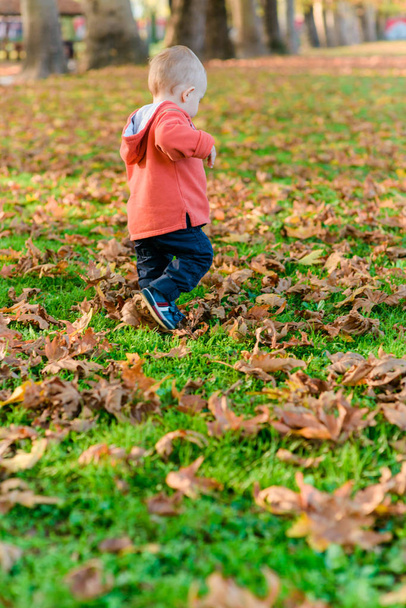Счастливый здоровый ребенок с удовольствием гуляет по листьям в осеннем парке
 - Фото, изображение