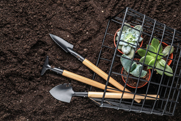 Ensemble d'outils de jardinage avec des plantes dans des pots sur terre
 - Photo, image
