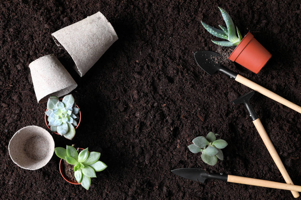 Conjunto de ferramentas de jardinagem com plantas em vasos no solo
 - Foto, Imagem
