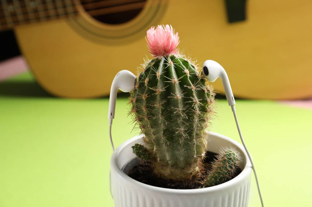 Creative composition with cactus and earphones on table - Photo, Image