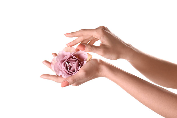 Female hands holding beautiful rose on white background - Foto, Imagen