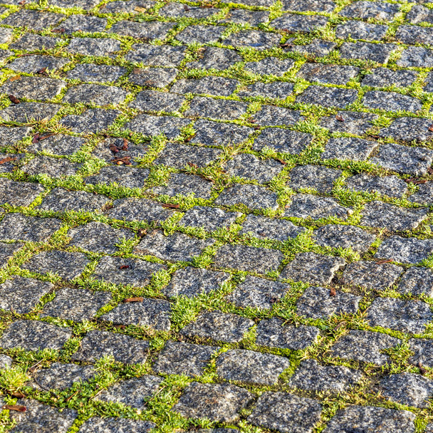 patrón armónico de piedras de guijarro con musgo
 - Foto, imagen