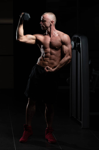Atleta trabalhando fora bíceps em um ginásio - halteres Concentração cachos - Foto, Imagem