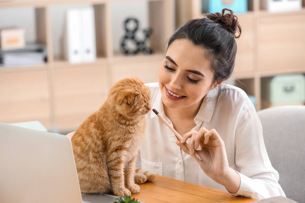 Giovane donna con simpatico gatto divertente che lavora a casa
 - Foto, immagini
