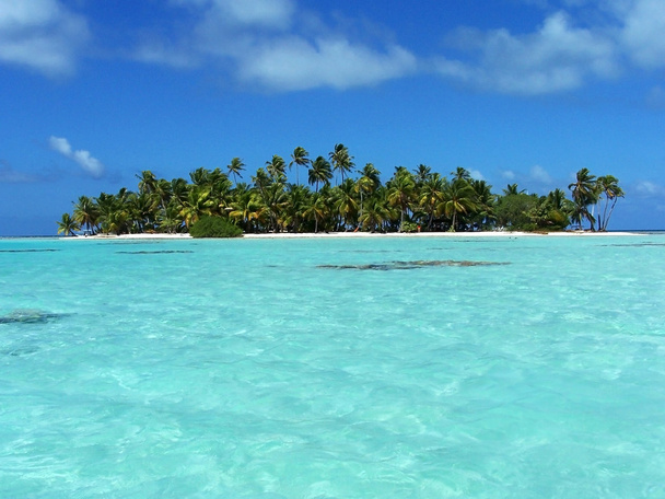 Polinésie
 - Photo, image