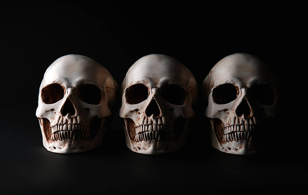 Crânios humanos sobre fundo preto
 - Foto, Imagem