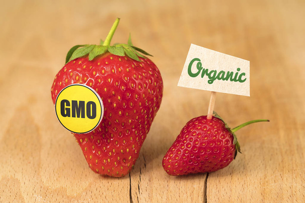 GMO i ekologicznej truskawki z objawami na desce. - Zdjęcie, obraz