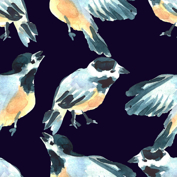 Иллюстрация птиц с акварелью. Ручная роспись. Дикие животные
. - Фото, изображение