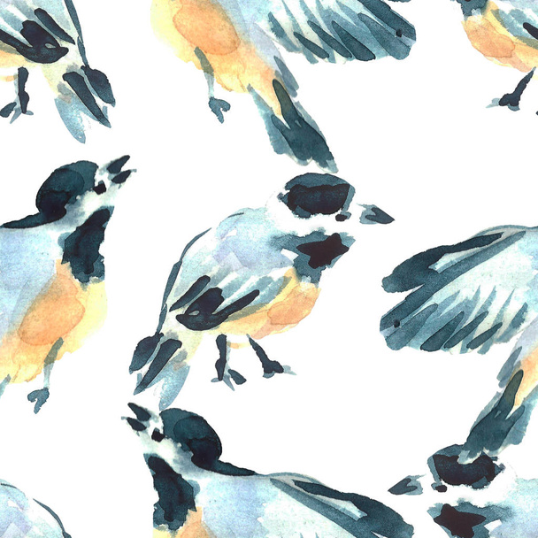 Watercolor tit birds illustration. Hand painted seamless pattern. Wild animals. - Foto, imagen