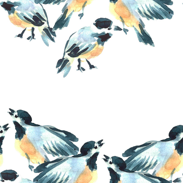 Aquarel mezen vogels illustratie. Handgeschilderde naadloze patroon. Wilde dieren. - Foto, afbeelding