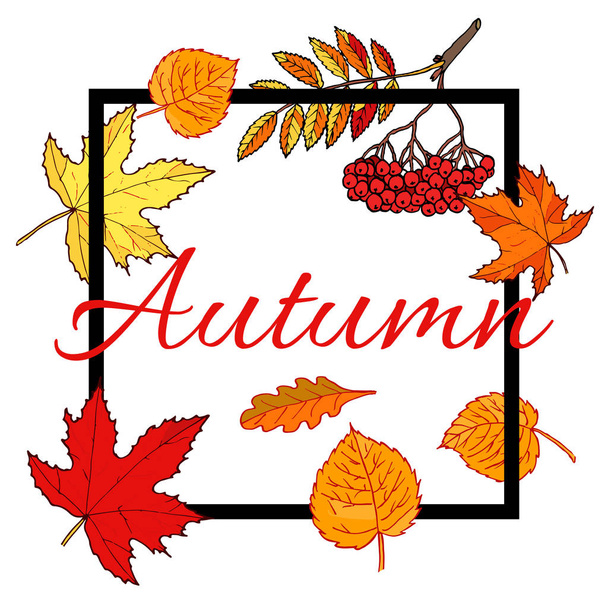 Hello autumn hand drawn fall leaves - Vector, Image