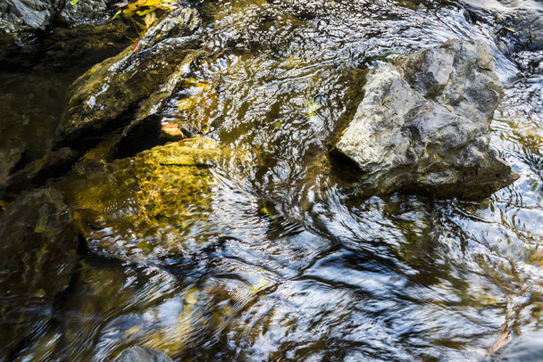 Creek or stream water flowing past rocks and stones - Фото, зображення