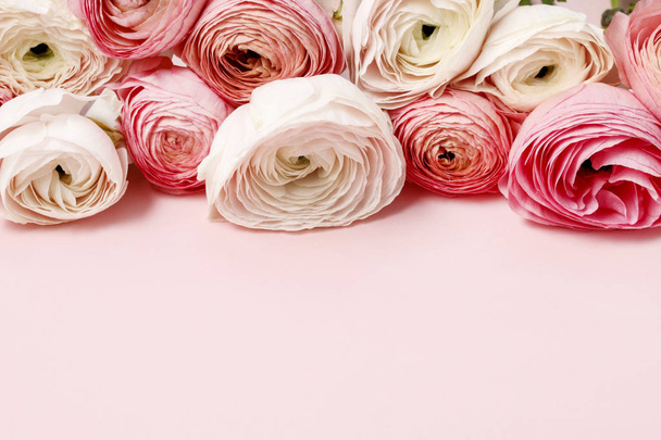 Pink ranunculus flowers. Home decor - Photo, image