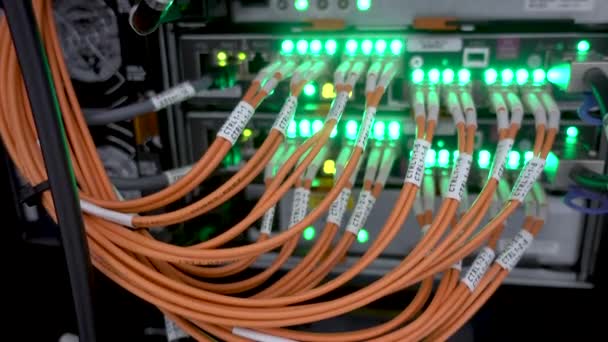 Fiber optic patch kábelek bedugott-ba egy hálózati kapcsoló vagy útválasztó villogó zöld led lámpák.  - Felvétel, videó