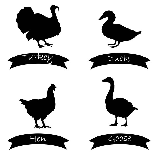 set avicultura moderno icono vector eps 10
 - Vector, imagen