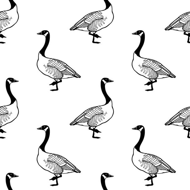 Hand drawn wild goose pattern - Wektor, obraz