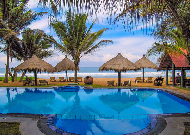 tropik sahil palm beach ve havuzu                            - Fotoğraf, Görsel