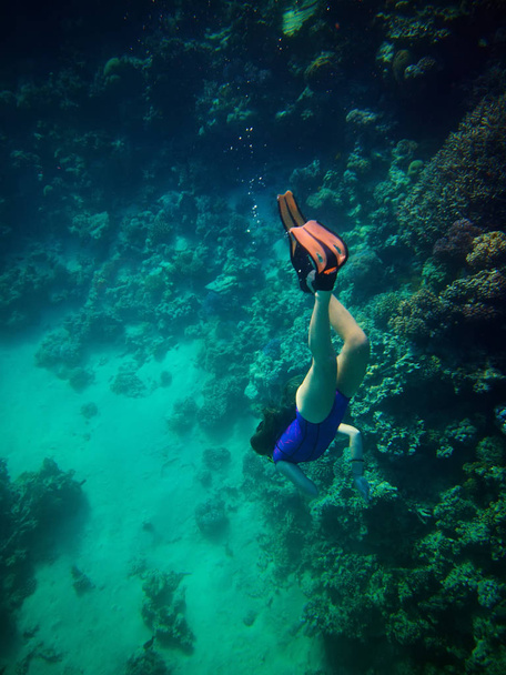 Underwater photo of young female swimmer freediving in red sea - Foto, afbeelding