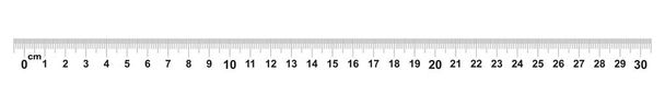 30 センチの定規。定規 300 mm. 部 0.5 mm。 正確な長さ測定器の値。調整グリッド - ベクター画像