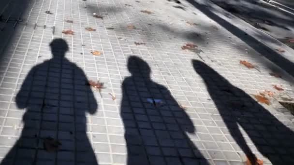Ombres ou silhouettes de personnes marchant sur le trottoir en pavé ionique
. - Séquence, vidéo