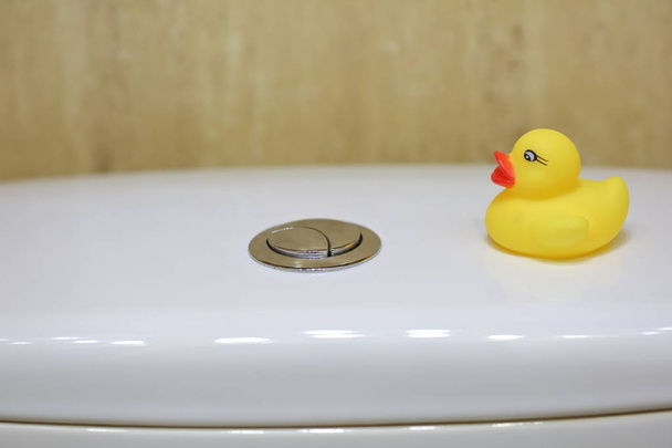 L'anatra gialla come aggiunta e la decorazione nel bagno sono stati impostati su un serbatoio d'acqua per il risciacquo
. - Foto, immagini
