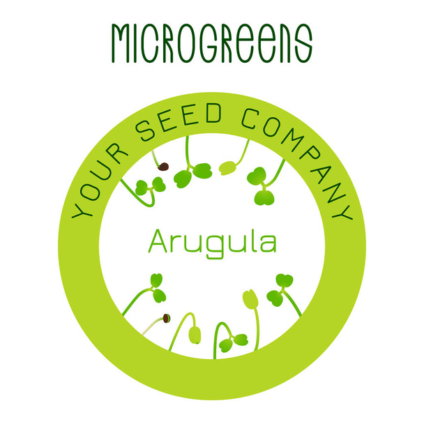Microgreens Arugula. Дизайн упаковки семян, круглый элемент в центре
 - Вектор,изображение