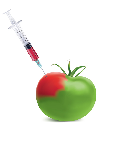 Zelená rajčata s injekční stříkačkou. Jídlo koncept genetické modifikace. Injekční stříkačky do rajčat. Kreativní 3d ilustrace - Fotografie, Obrázek