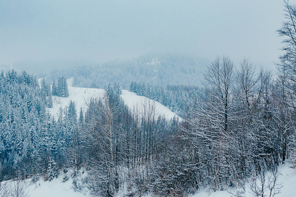 Bela paisagem de montanha de inverno com florestas de neve no fundo distante nebuloso. Cena pitoresca e tranquila wintry local resort europeu. Dia nublado
  - Foto, Imagem