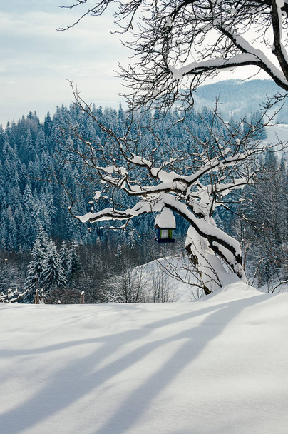 Снежный склон с кормушкой для птиц на дереве. Зимний сельский пейзаж, деревня или ферма, солнечный день, голубые тени, горы и лес в тени. Вертикальное изображение
 - Фото, изображение