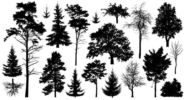 Set of a variety of forest trees. Isolated on white background. Collection of silhouette vector illustration - Vector, Image