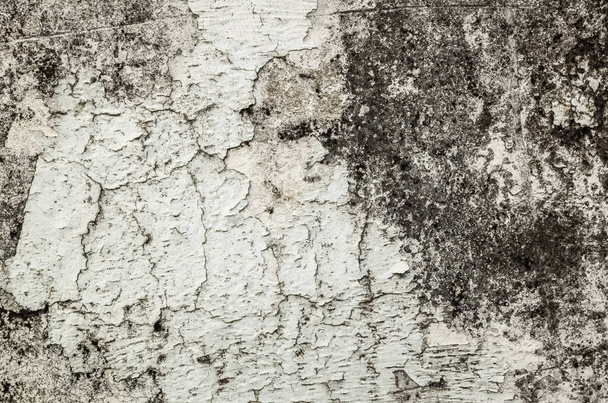 mildewed wall background, grunge texture of dirty cement wall - Foto, imagen