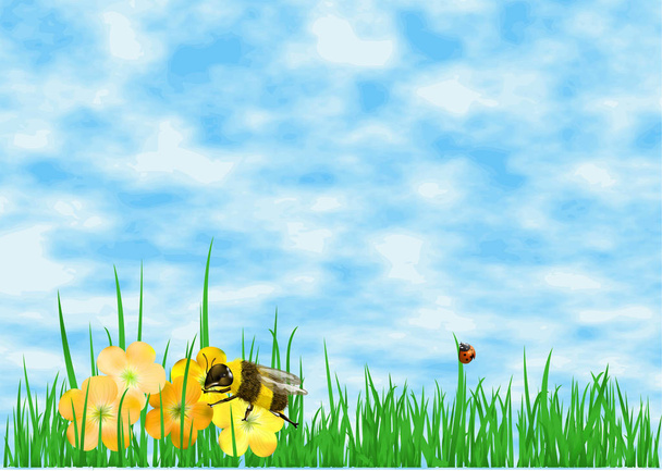 meadow wiht flowers  and sky - Wektor, obraz